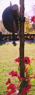 Poppies and Soldier's Hat and Gun